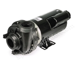 6500-307, 6500-707 Jacuzzi® Spas Pump - 1 Speed, 2.5 HP, 4.2 Brake HP